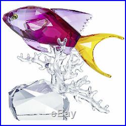 Swarovski Anthias Fish # 5494699 New 2019