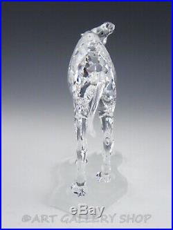 Swarovski Austria Crystal Figurine #247683 DROMEDAR CAMEL AFRICAN Mint Box COA
