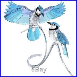 Swarovski Blue Jays Bird Crystal Figurine 1176149 NIB