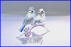 Swarovski Blue Tits Bird Couple Love Bird Wedding Gift 5004727 Brand New In Box
