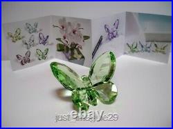 Swarovski Butterfly Light Peridot 855773 Nib Coa