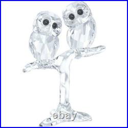Swarovski Clear Crystal Figurine BABY OWLS -5249263 New