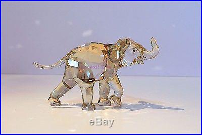 Swarovski Crystal 2013 SCS AE Young Baby Elephant Gold 1142862 Brand New In Box