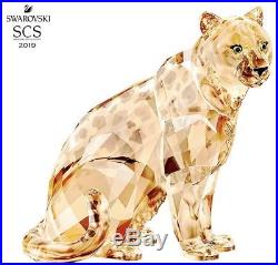 Swarovski Crystal 2019 Scs Annual Edition Amur Leopard Sofia 5428541. New In Box