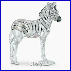 Swarovski Crystal 2021 Scs Baby Zebra 5557906. New In Box