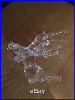 Swarovski Crystal 2 Foals Horses Playing figurines in Box Perfect