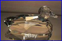 Swarovski Crystal 7647 Nr 250 Giant Mallard Duck Retired Signed Mint In Box
