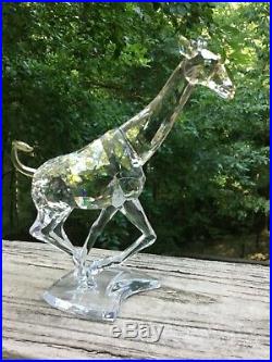 Swarovski Crystal 935896 Giraffe 9100 000 103 Running Rare Encounters No Box