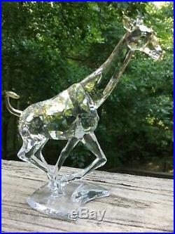 Swarovski Crystal 935896 Giraffe 9100 000 103 Running Rare Encounters No Box