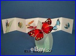 Swarovski Crystal Adena Butterfly Light Siam 622737 Mib Coa