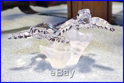 Swarovski Crystal BABY SEA TURTLES Figurine South Sea Series
