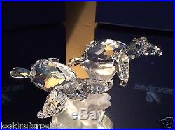 Swarovski Crystal Baby Sea Turtles SIGNED BY DESIGNER! 826480 NIB/COA + MIRROR