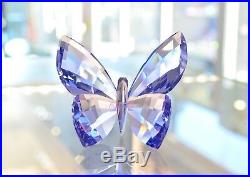 Swarovski Crystal Butterfly Violet Purple Tanzanit Bugs 1182454 Brand New In Box
