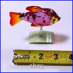 Swarovski Crystal Camaret Fuschia Rain Paradise Fish 626205 Mint In Box W Coa