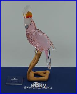 Swarovski Crystal Cockatoo Red 9-5/8 718565 Paradise Bird COA by Roland Schuster