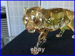 Swarovski Crystal ENDANGERED WILDLIFE TIGERGolden Figurine #1003148 MIB WithCOA