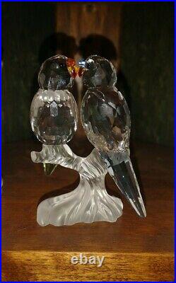 Swarovski Crystal Figurine #680627 Budgies Pair of Parrot Bird RARE