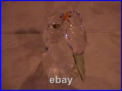 Swarovski Crystal Figurine Budgies Parakeets with color accents COA Mint