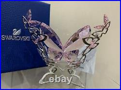 Swarovski Crystal Figurine Butterfly Rosaline Large 5031520 Pink Butterfly MIB
