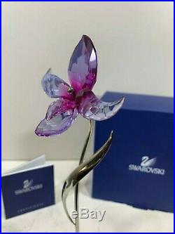 Swarovski Crystal Figurine Dororia Paradise Fuchsia Rain Flower 681542 MIB WithCOA