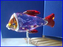 Swarovski Crystal Figurine Paradise Fish Camaret Fuchsia Rain 626205 MIB