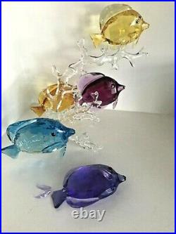 Swarovski Crystal Figurine Rainbow Fish Family 5223195