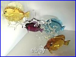Swarovski Crystal Figurine Rainbow Fish Family 5223195