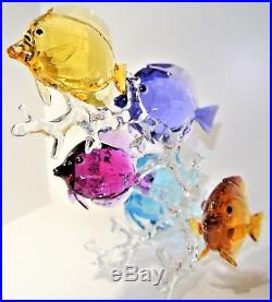 Swarovski Crystal Figurine Rainbow Fish Family on Coral Reef 5223195