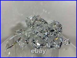 Swarovski Crystal Figurine Roses On Stem 9100 000 074 / 890285 MIB WithCOA