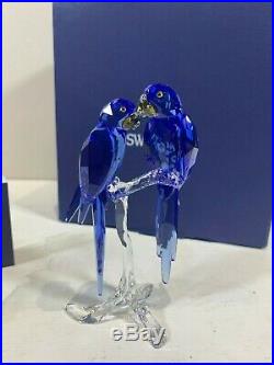 Swarovski Crystal Figurine SCS Blue Pair Of Hyacinth Macaws 5004730 MIB WithCOA