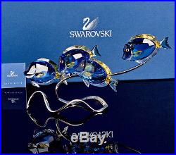 Swarovski Crystal Figurine SURGEON FISH SCUBA BLUE #5155580 New