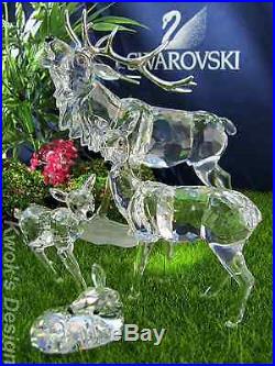 Swarovski Crystal Figurine Stag Doe Deer, Reindeer & Fawns on set/ BOXES/COAS