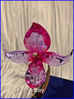 Swarovski Crystal Flower DORORA, FUCHSIA RAIN withOriginal Box & COA 681542