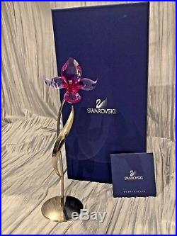 Swarovski Crystal Flower DORORA, FUCHSIA RAIN withOriginal Box & COA 681542