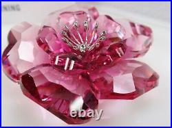 Swarovski Crystal Flower, Darose MIB #956808