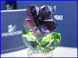 Swarovski Crystal Flower, Violet Retired 2008 Mib #855897