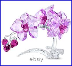 Swarovski Crystal Flowers Orchid Ornament 5520373