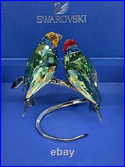 Swarovski Crystal Gouldian Finches Peridot BIRDS Figurine #1141675 NEW in Box