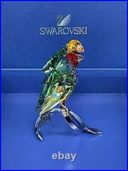Swarovski Crystal Gouldian Finches Peridot BIRDS Figurine #1141675 NEW in Box