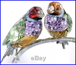 Swarovski Crystal Gouldian Finches Peridot figurine #1141675 Paradise Birds MIB