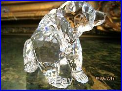 Swarovski Crystal Grizzly Bear Figurine # A 7637 NR 000 006 NEW