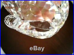 Swarovski Crystal Grizzly Bear Figurine # A 7637 NR 000 006 NEW