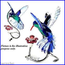 Swarovski Crystal HummingBird Bird Figurine 1188779 ($740) NIB