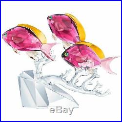 Swarovski Crystal Mint Figurine Anthias Fish Trio Colored 5428652 MIB WithCOA