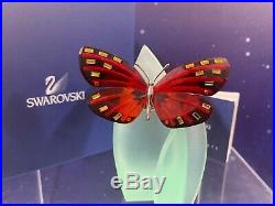 Swarovski Crystal Mint Figurine Paradise Butterfly Adena Light Siam 622737 MIB W