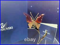 Swarovski Crystal Mint Figurine Paradise Butterfly Alava Padparadscha 861936 MIB