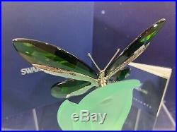 Swarovski Crystal Mint Figurine Paradise Butterfly Anamosa Moss Green 622739 MIB