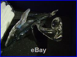 Swarovski Crystal PAIKEA WHALE 1095228 Mint SCS 2012 MIB Annual Edition