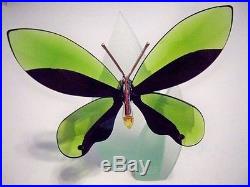 Swarovski Crystal Paradise Anamosa Butterfly & Display Retired 622739 Bnib Coa