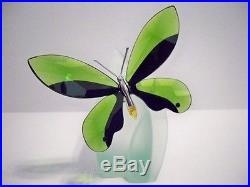 Swarovski Crystal Paradise Anamosa Butterfly With Display Retired 622739 Mib Coa